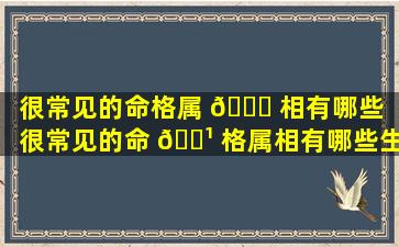 很常见的命格属 💐 相有哪些「很常见的命 🌹 格属相有哪些生肖」